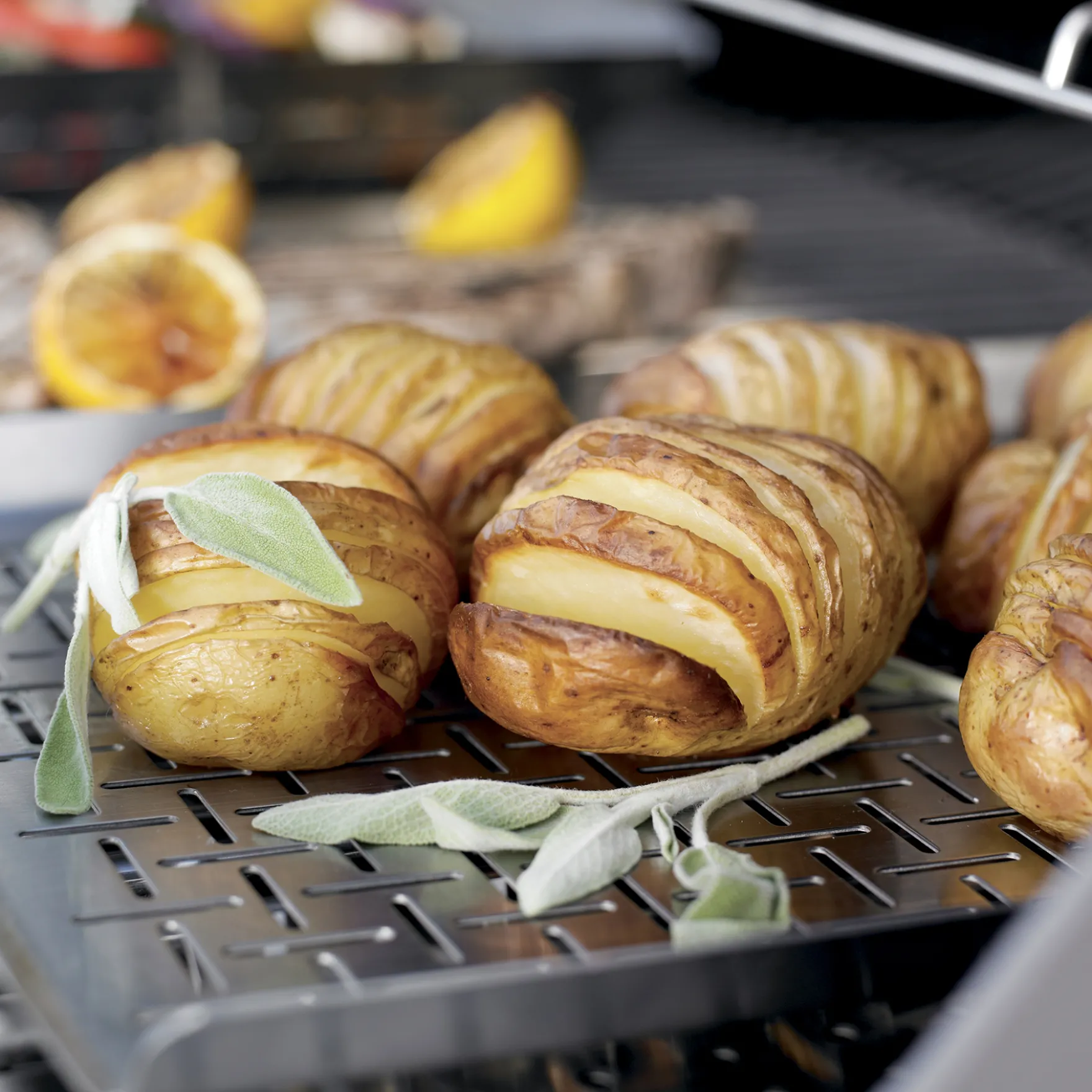 Deluxe Grilling Pan