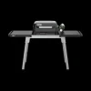 Expandable Stand