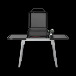 Expandable Stand
