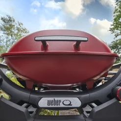 Q 2800N+ Gas Grill (Liquid Propane)