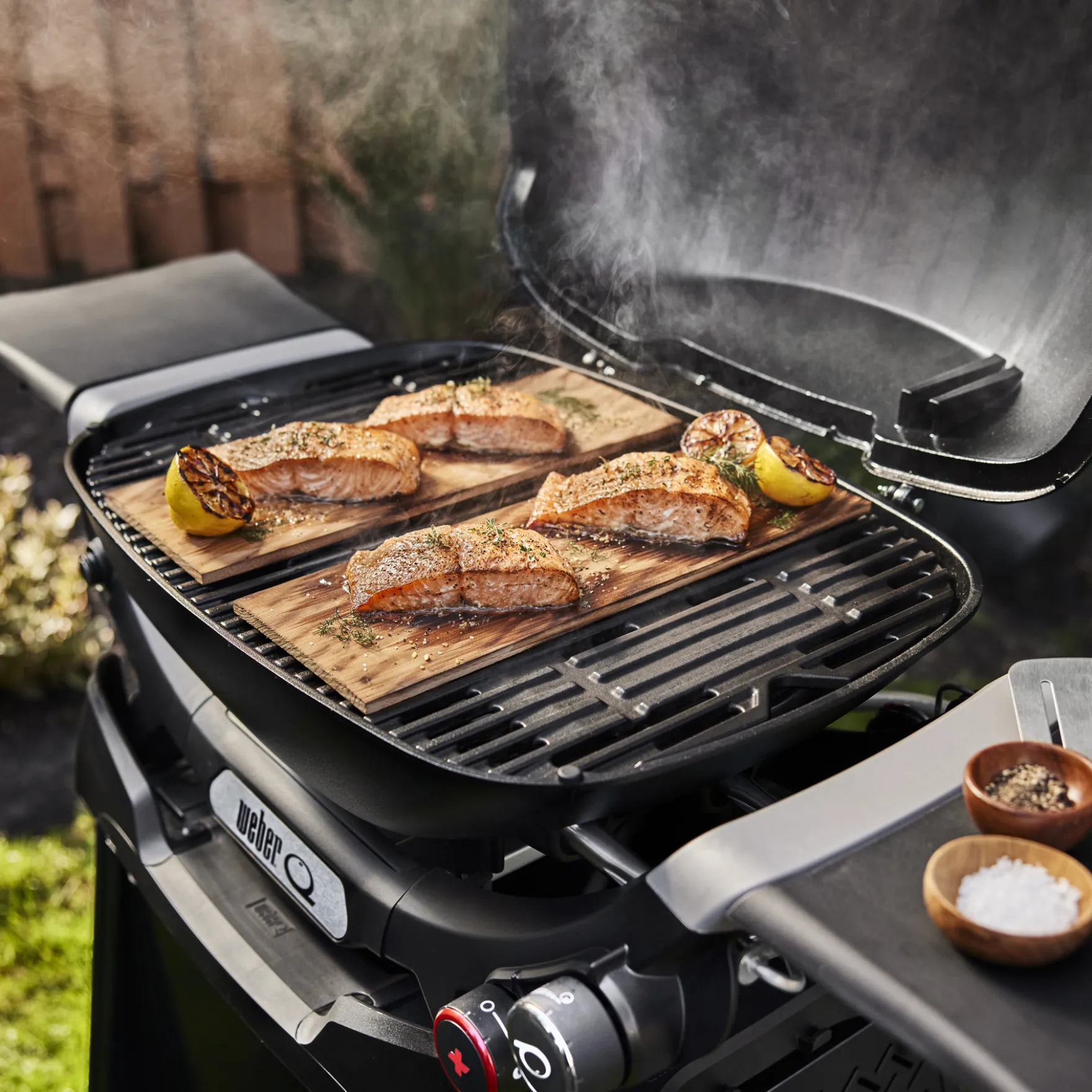 Q 2800N+ Gas Grill with Stand (Liquid Propane)