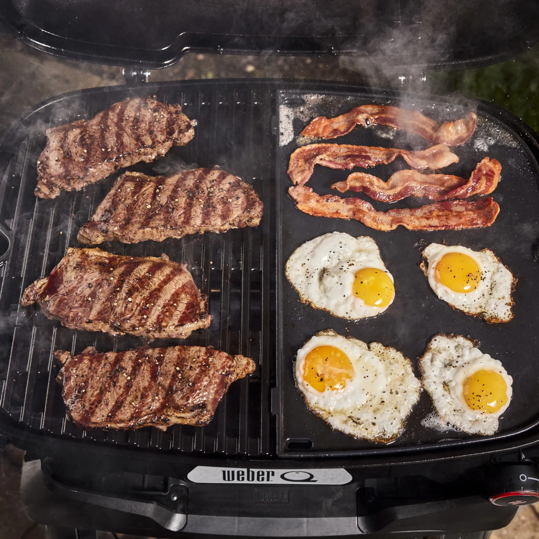 Q 2800N+ Gas Grill with Stand (Liquid Propane)