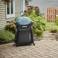 Q 2800N+ Gas Grill with Stand (Liquid Propane)