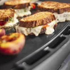 Q 2800N+ Gas Grill with Stand (Liquid Propane)