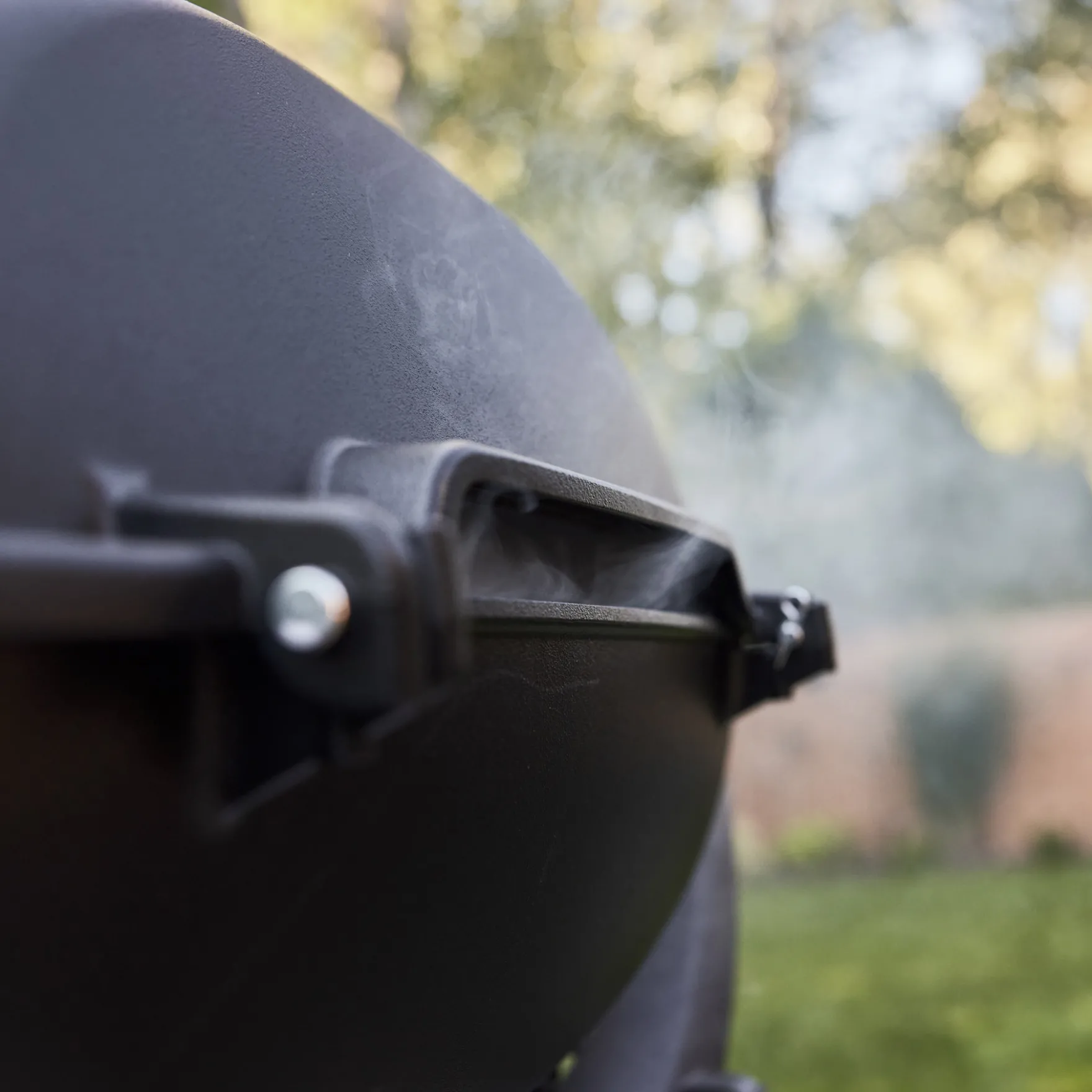 Q 2800N+ Gas Grill with Stand (Liquid Propane)