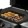 Rust-Resistant Griddle Insert