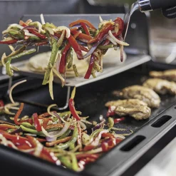 Rust-Resistant Griddle Insert