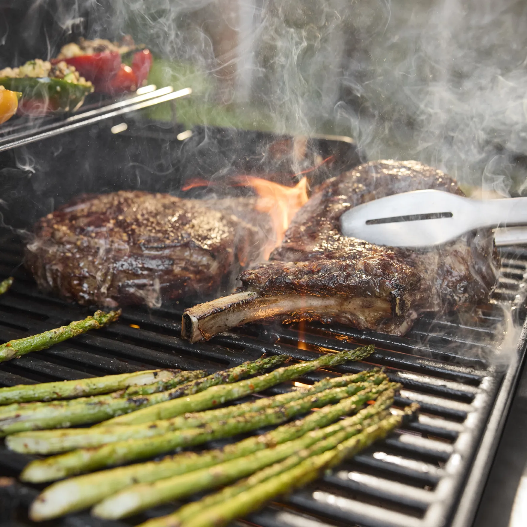 Spirit® E-425C Gas Grill Titanium Edition (Liquid Propane)