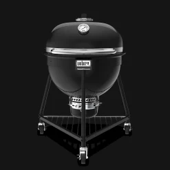 Summit® Kamado E6 Charcoal Grill