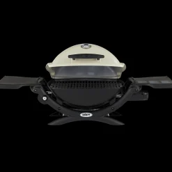 Weber® Q 1200 Gas Grill (Liquid Propane)
